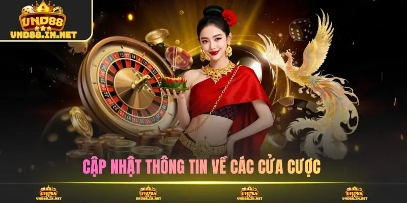 Cập nhật thông tin về các cửa cược