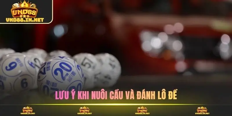 Lưu ý khi nuôi cầu và đánh lô đề