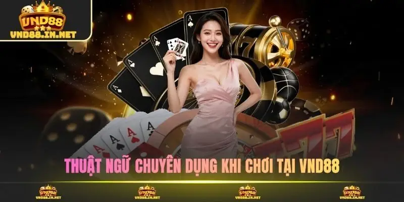 Thuật ngữ chuyên dụng khi chơi tại VND88