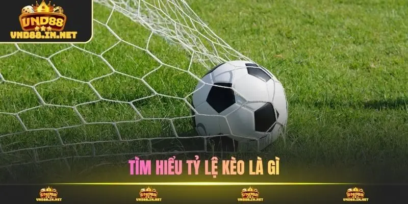 Tìm hiểu tỷ lệ kèo là gì