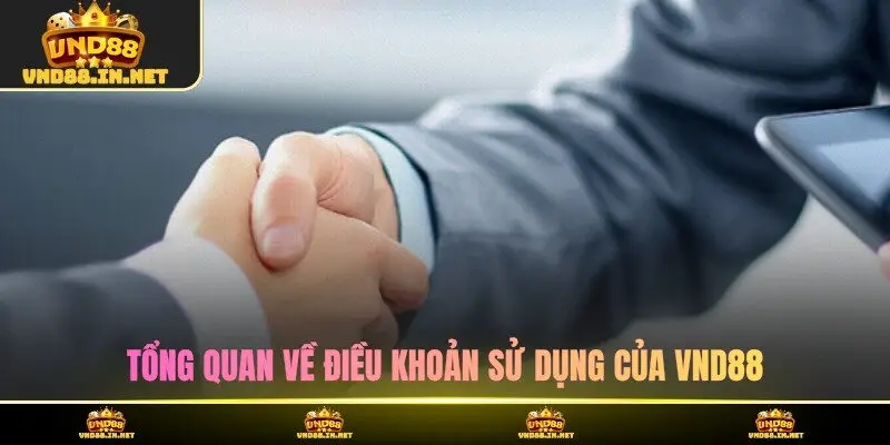 Tổng quan về điều khoản sử dụng của VND88